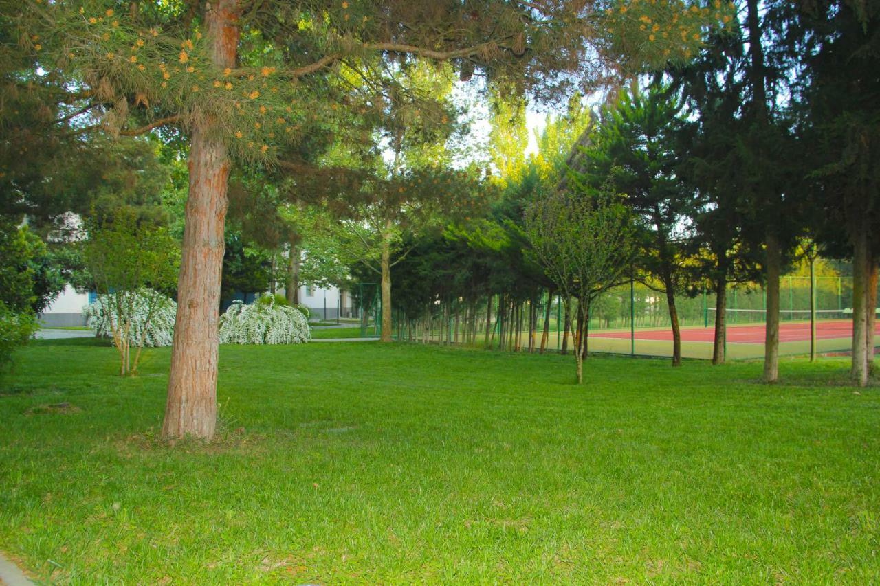 Sheki Olimpiya Hotel & Resort Exteriér fotografie