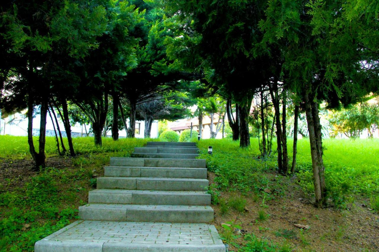 Sheki Olimpiya Hotel & Resort Exteriér fotografie